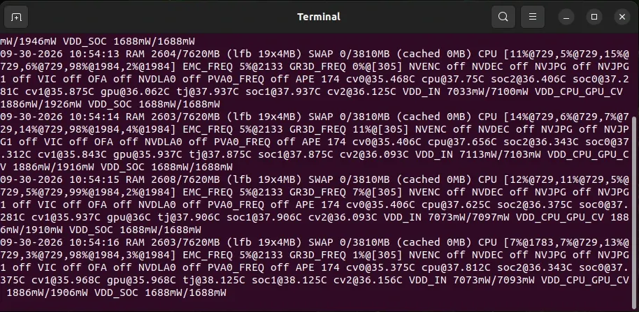 tegrastats output