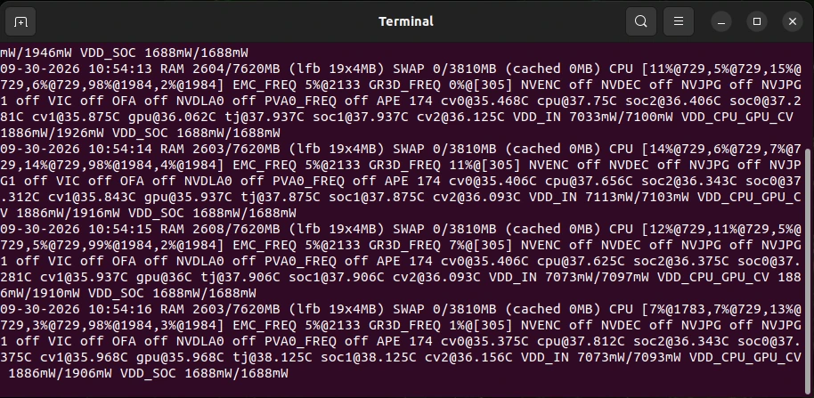 tegrastats output