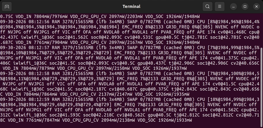 tegrastats output