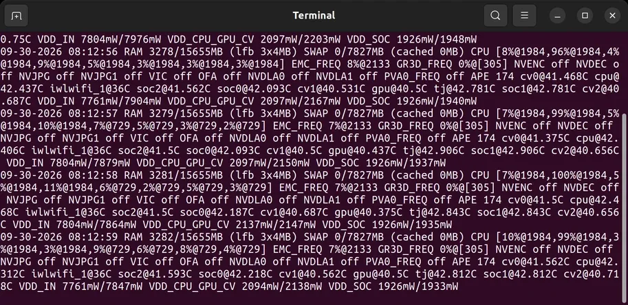 tegrastats output